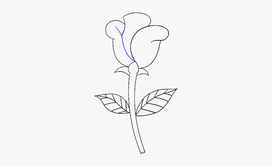 How To Draw Simple Rose - Cách Vẽ Hoa Hồng Đơn Giản Nhất, Transparent Clipart