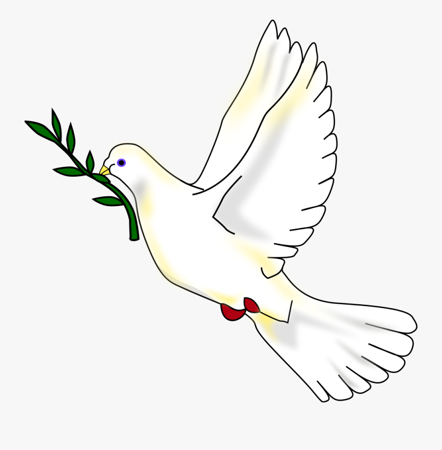 Transparent Holy Spirit Dove Png - Rock Dove, Transparent Clipart