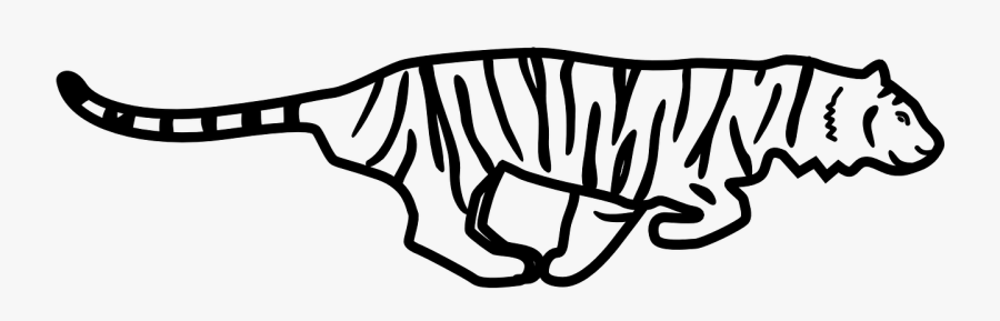Tiger Running Animal Free Picture - Running White Tiger Logo, Transparent Clipart