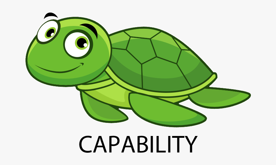 Seaturtle Web, Transparent Clipart