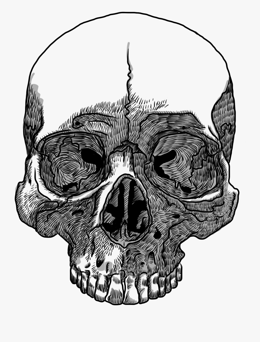 Clip Art Transparent Huge Freebie - Skull Transparent Background No Jaw, Transparent Clipart