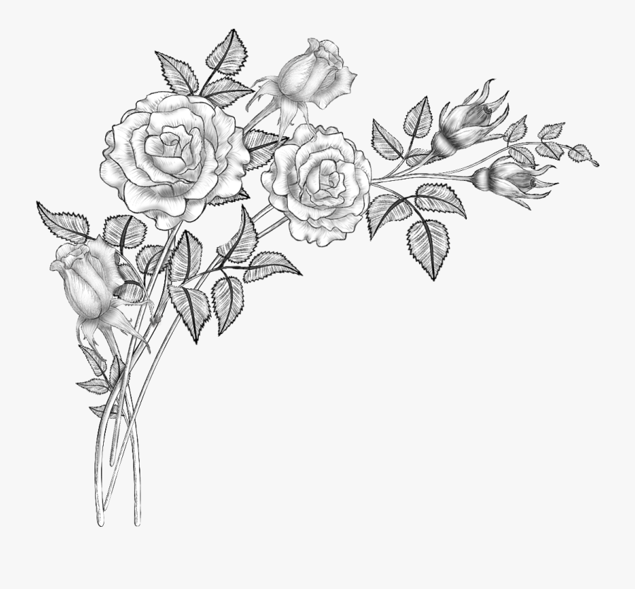 Clip Art Collection Of Free Drawing - Flowers Drawing Png, Transparent Clipart