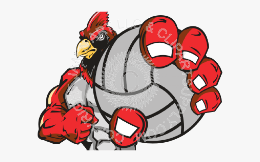 Cardinal Clipart Volleyball - Cardinal With Soccer Ball, Transparent Clipart