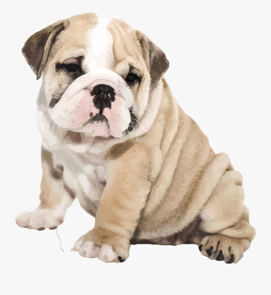 American Bulldog Old English Bulldog Iphone 6s Puppy - English Bulldog Transparent Background, Transparent Clipart