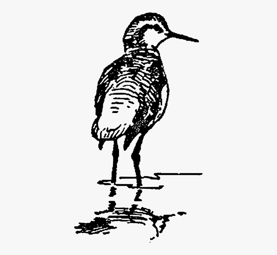 Art,livestock,monochrome Photography - Portable Network Graphics, Transparent Clipart