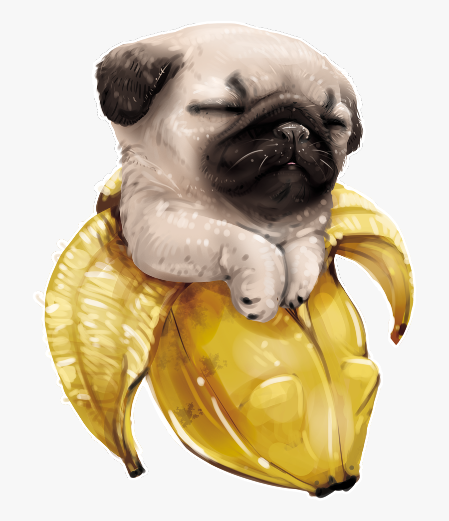 Cute Pug Pug Kawaii, Transparent Clipart