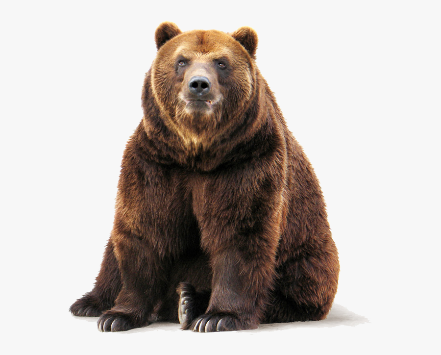 Transparent Grizzly Bear Png - Brown Bear , Free Transparent Clipart