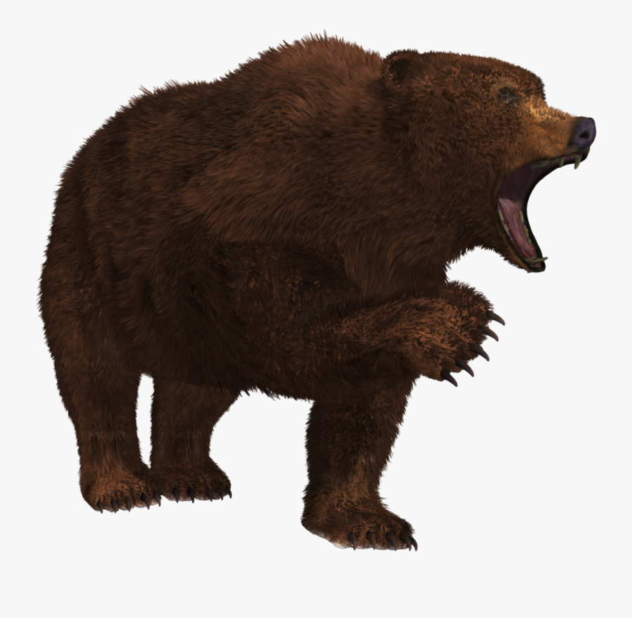 Bear,grizzly Bear,brown,terrestrial Black Bear,kodiak - Growling Bear Png, Transparent Clipart