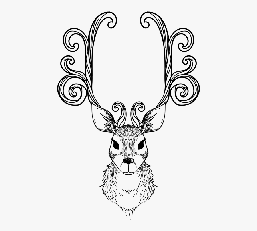 Animal Antlers Face - Animal Drawings For Adults, Transparent Clipart
