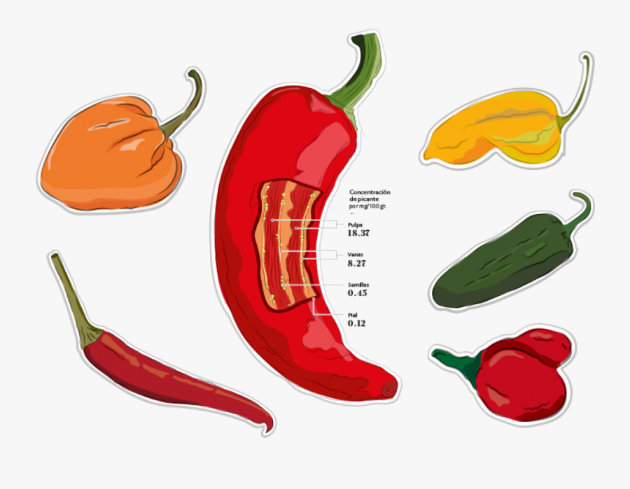 La Escala Scoville - Scoville Escala Aji Panca, Transparent Clipart