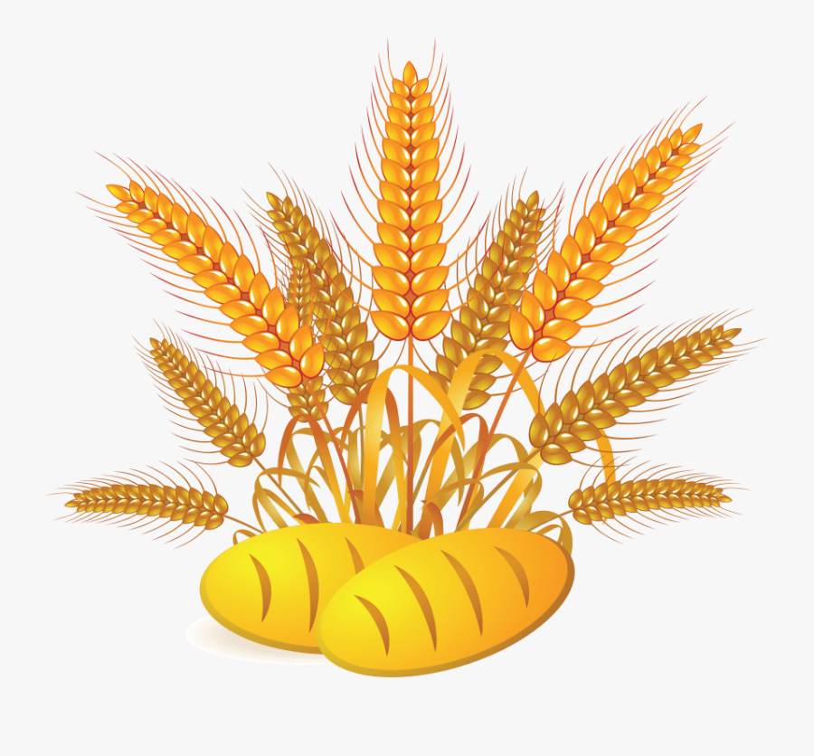 Free Png Wheat Png Images Transparent - Wheat And Bread Clipart, Transparent Clipart