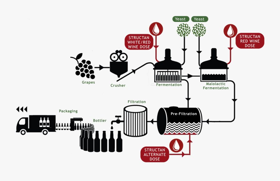Structan Addition In The Winemaking Process Can Assist - Beer Making Process Png, Transparent Clipart