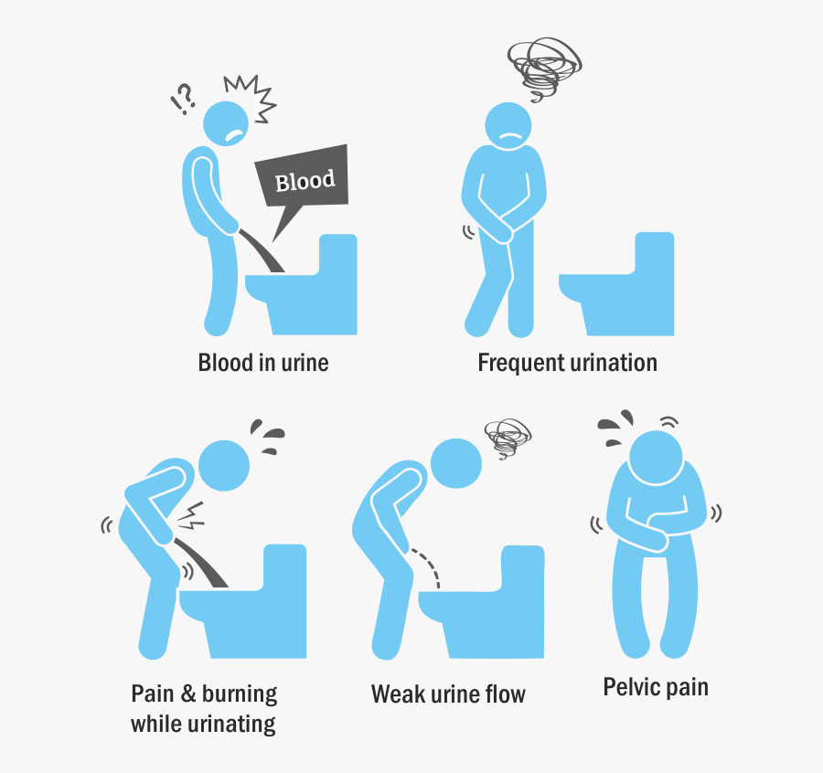 Warning Signs Ofblader Cancer, Transparent Clipart