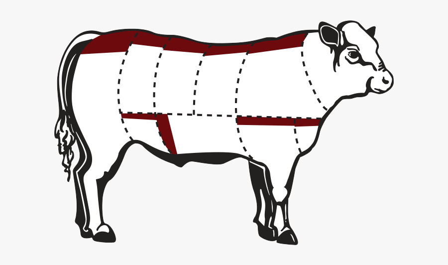 Toro Angus Vector, Transparent Clipart