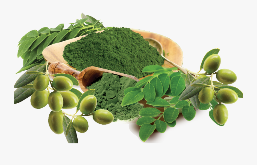 Moringa Leaf Powder Png, Transparent Clipart