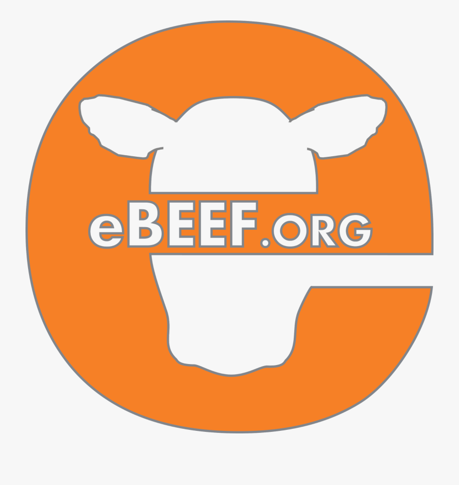 Label, Transparent Clipart