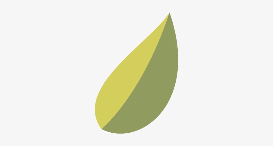 Olive Oil Leaf Png Graphic, Transparent Clipart