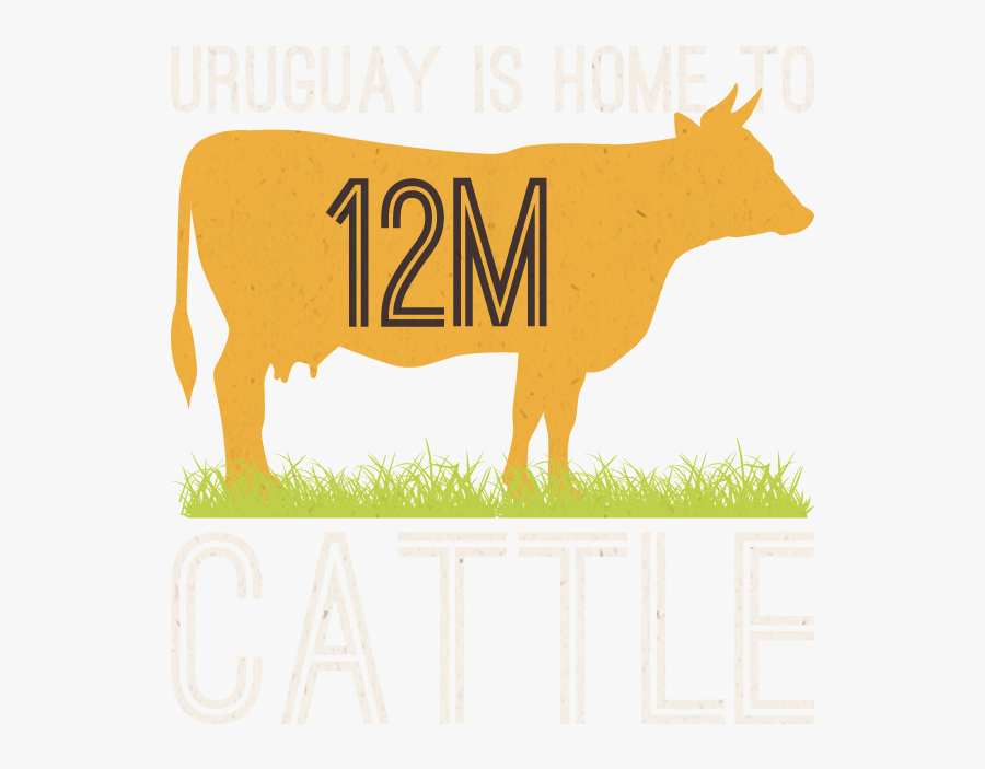 Uruguay Has 12m Cattle - Dairy Cow, Transparent Clipart