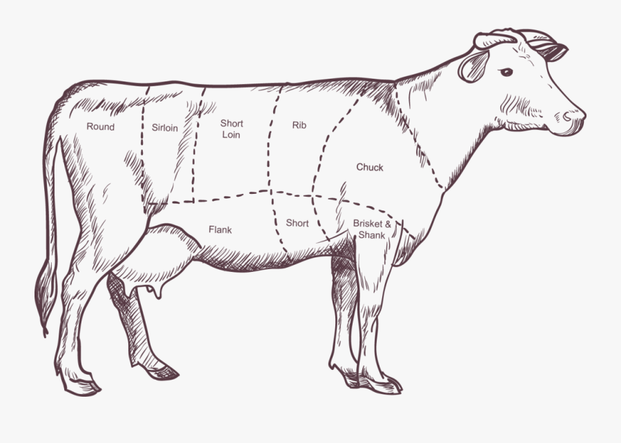 Cow - Australia Beef Supplier In Malaysia, Transparent Clipart