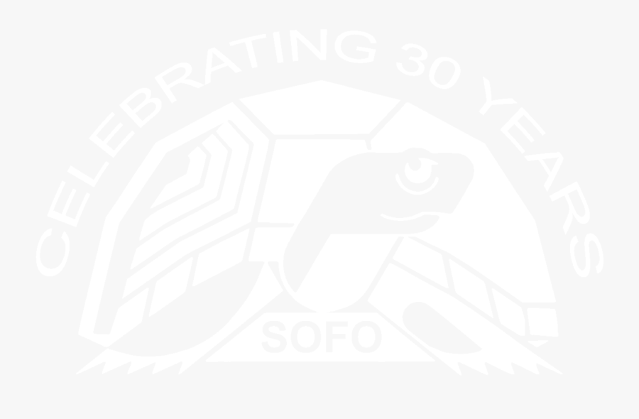 Tourism, Transparent Clipart