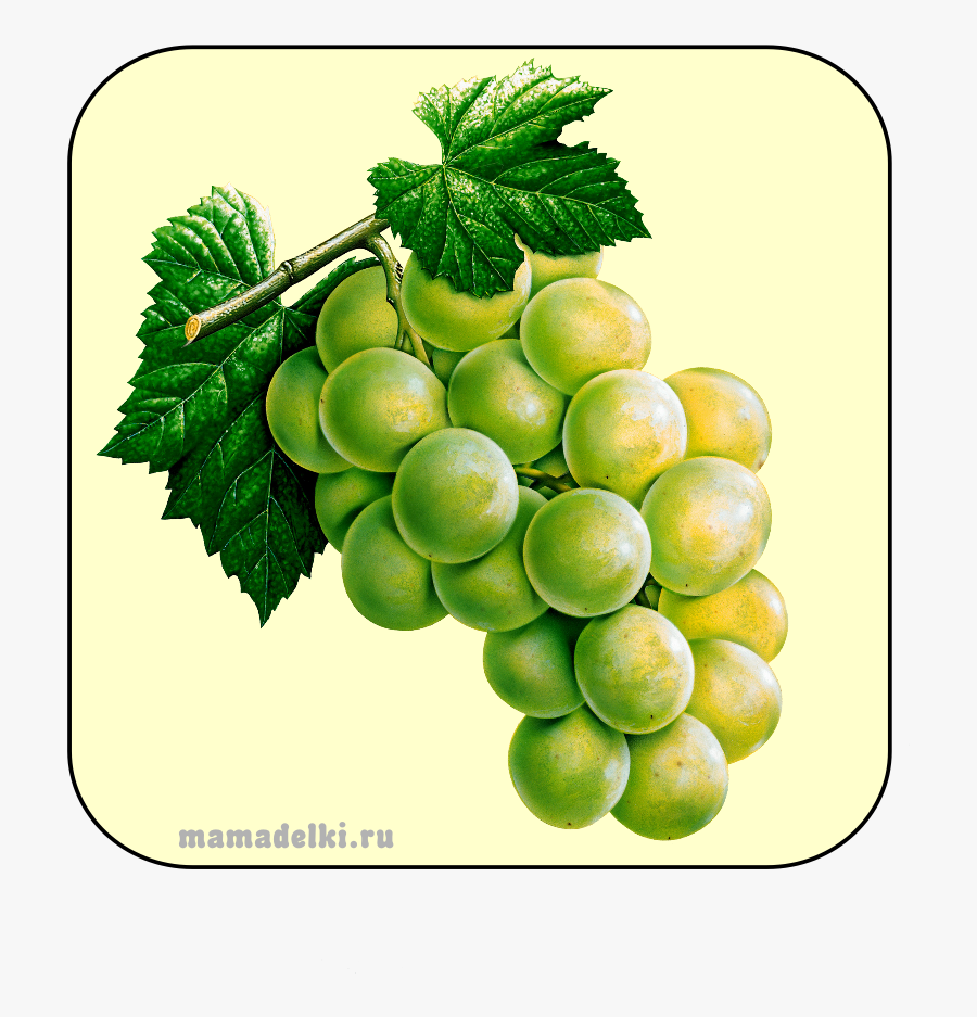 Grapes Clipart Green Item - Seedless Fruit, Transparent Clipart