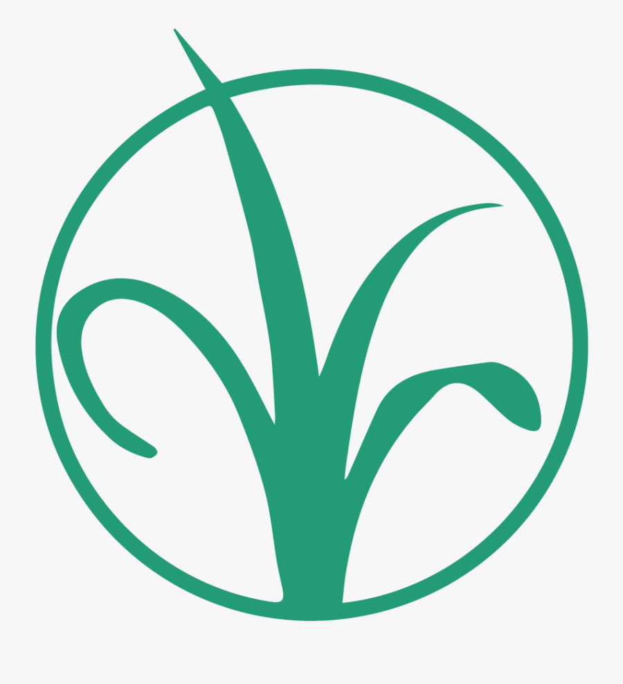 Endless Summer Landscaping, Transparent Clipart