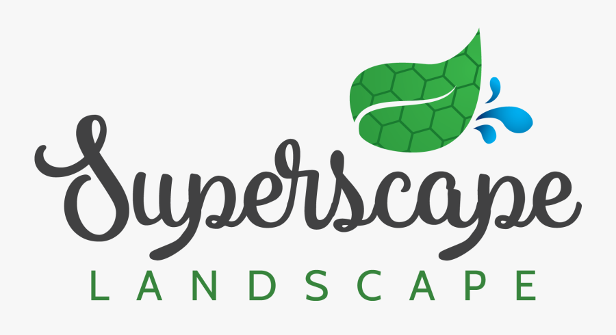 Calligraphy, Transparent Clipart