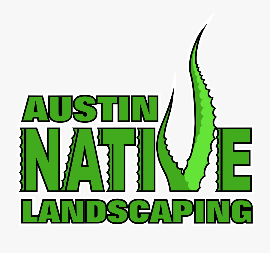 Graphic Design, Transparent Clipart