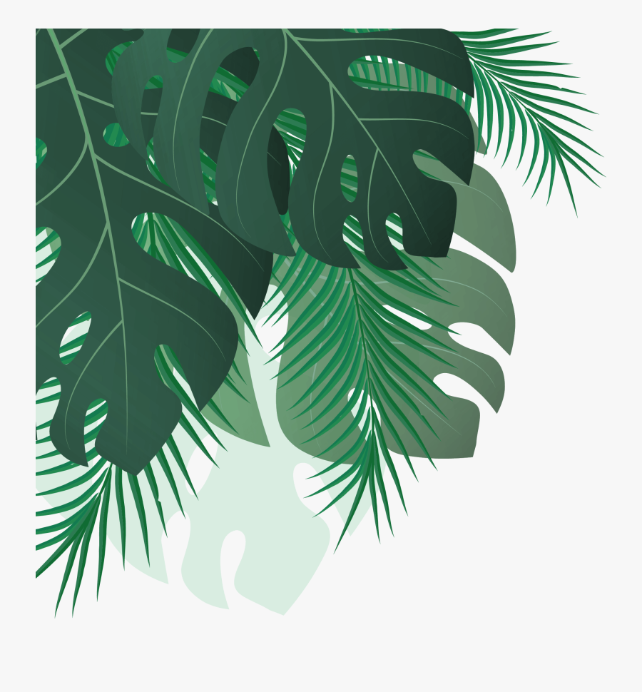 Illustration, Transparent Clipart