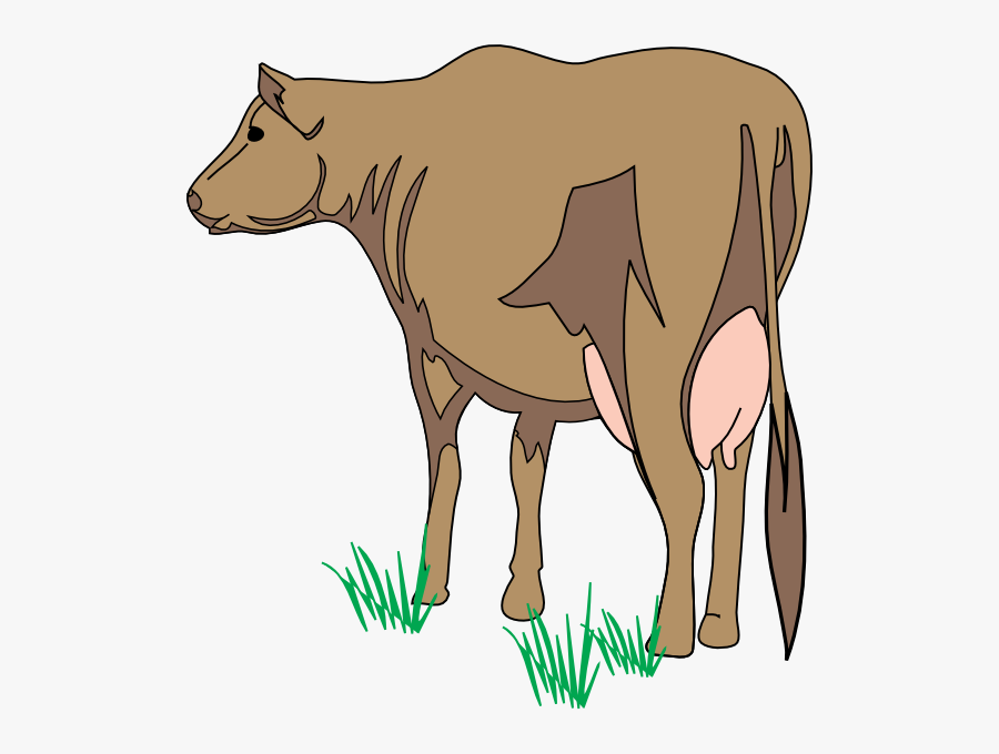 Dictyocaulus Viviparus, Transparent Clipart