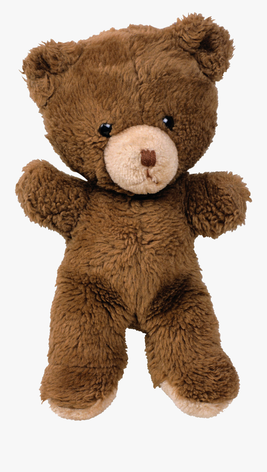 transparent cover for teddy bear