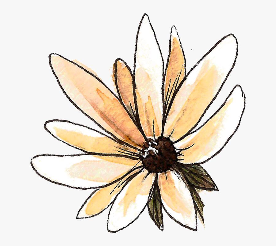 Purity Acne Clearing Cleanse Mask, Transparent Clipart