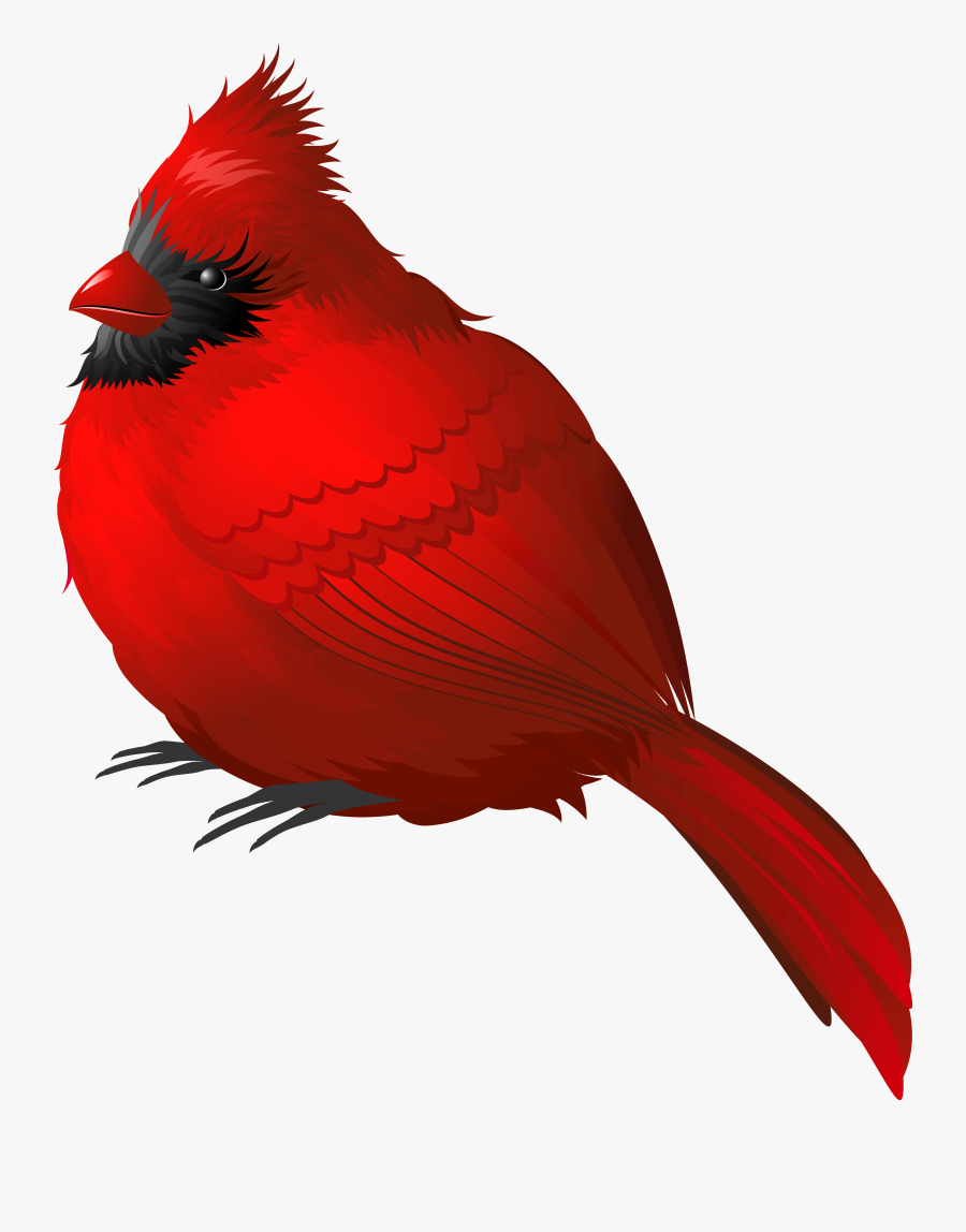 Red Winter Bird Png Clipart Image - Red Bird No Background, Transparent Clipart