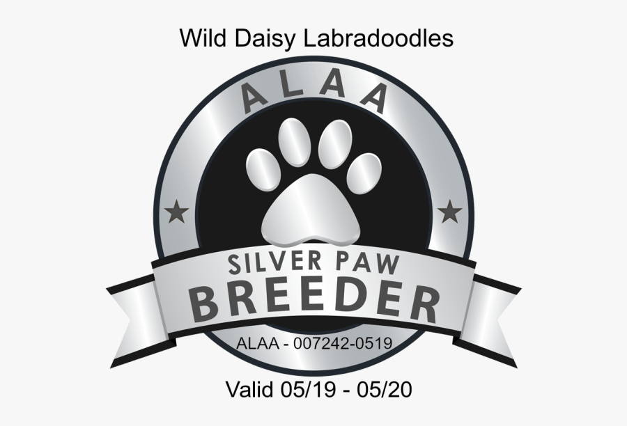 Graphic Design, Transparent Clipart