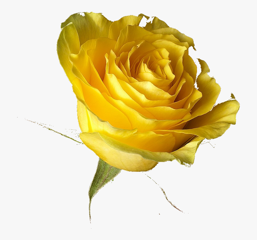 Touching Birthday Message For A Best Friend , Png Download, Transparent Clipart