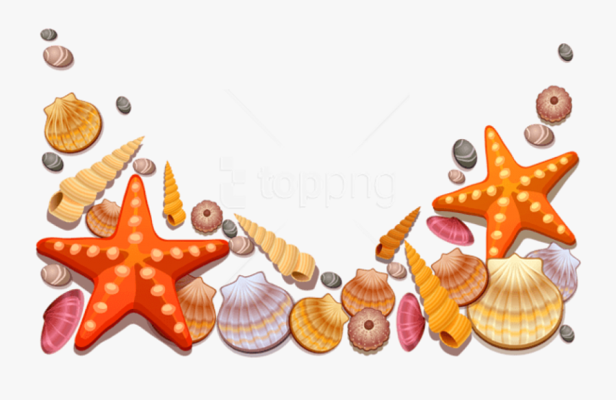 Free Png Download Sea Shells Decor Png Vector Clipart - Sea Shells Vector Png, Transparent Clipart