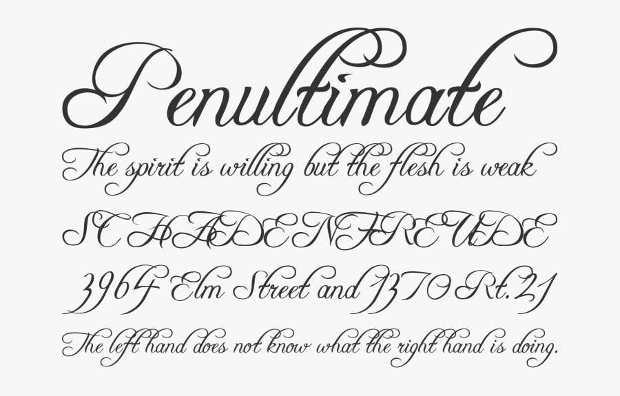 Clip Art Free Elegant Wedding Fonts - Freebooter Script Font, Transparent Clipart