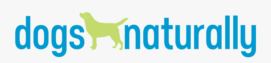 Dog Catches Something, Transparent Clipart