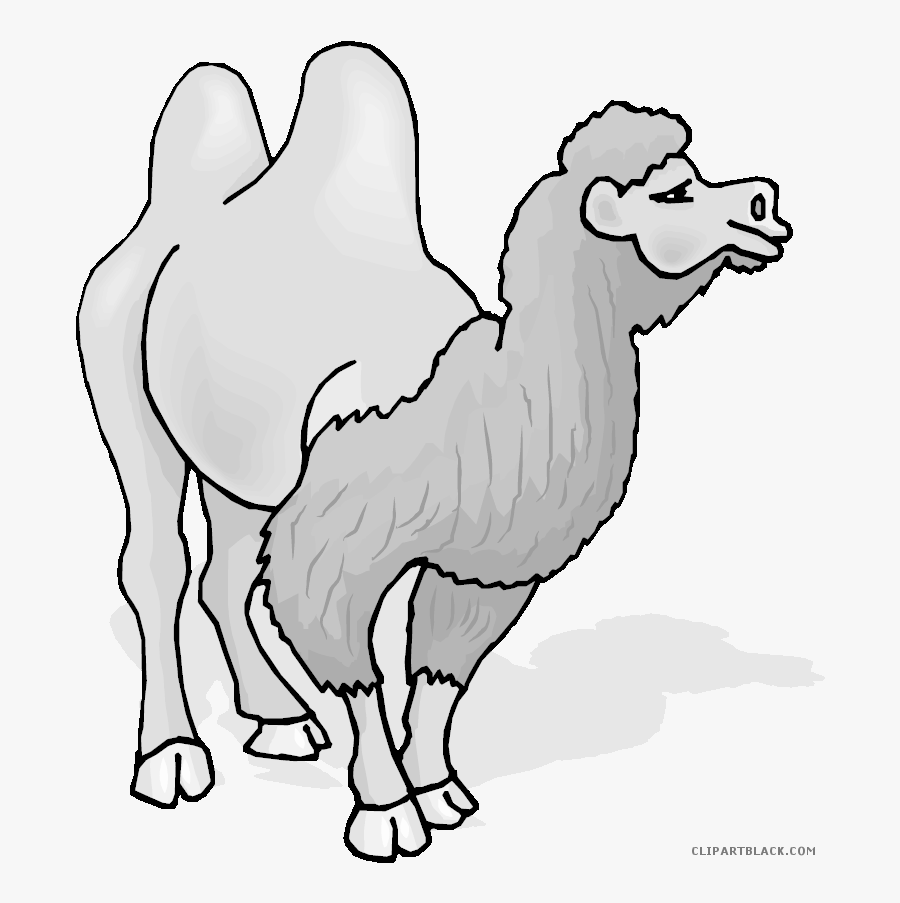 Clipartblack Com Animal Free - Clipart Camel, Transparent Clipart