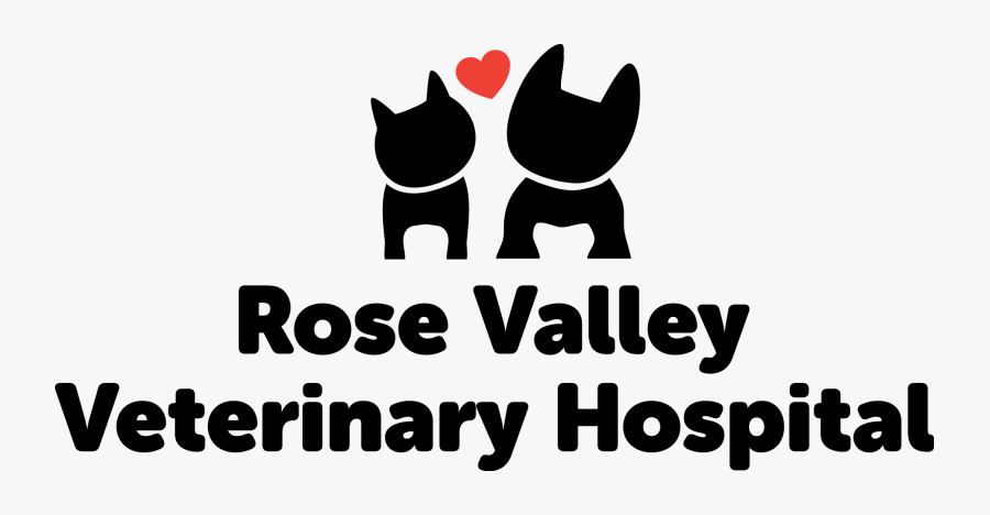 Black Cat, Transparent Clipart