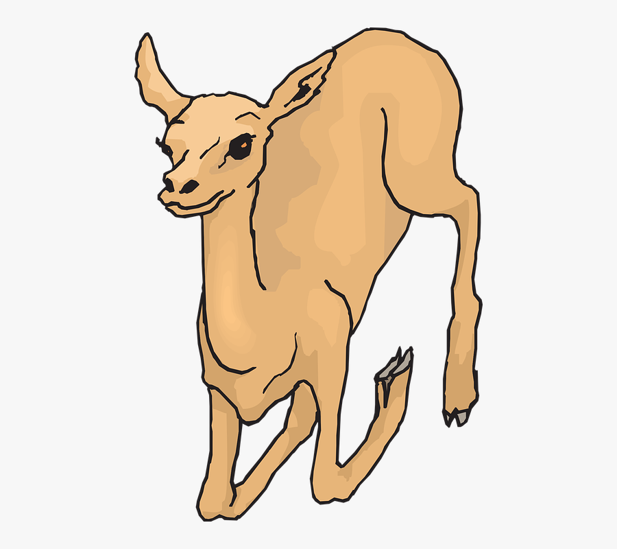 Deer, Wild, Running, Forest, Leaping, Animal - Deer, Transparent Clipart