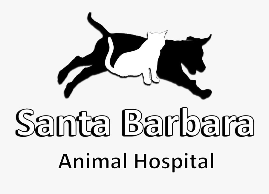 Cat Jumps, Transparent Clipart