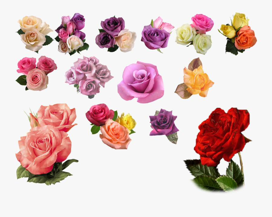 Transparent Background Png Format Rose Png, Transparent Clipart