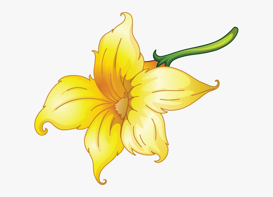 Hibiscus, Transparent Clipart