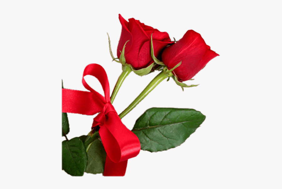 Red Rose On White Wood Hd Background, Transparent Clipart