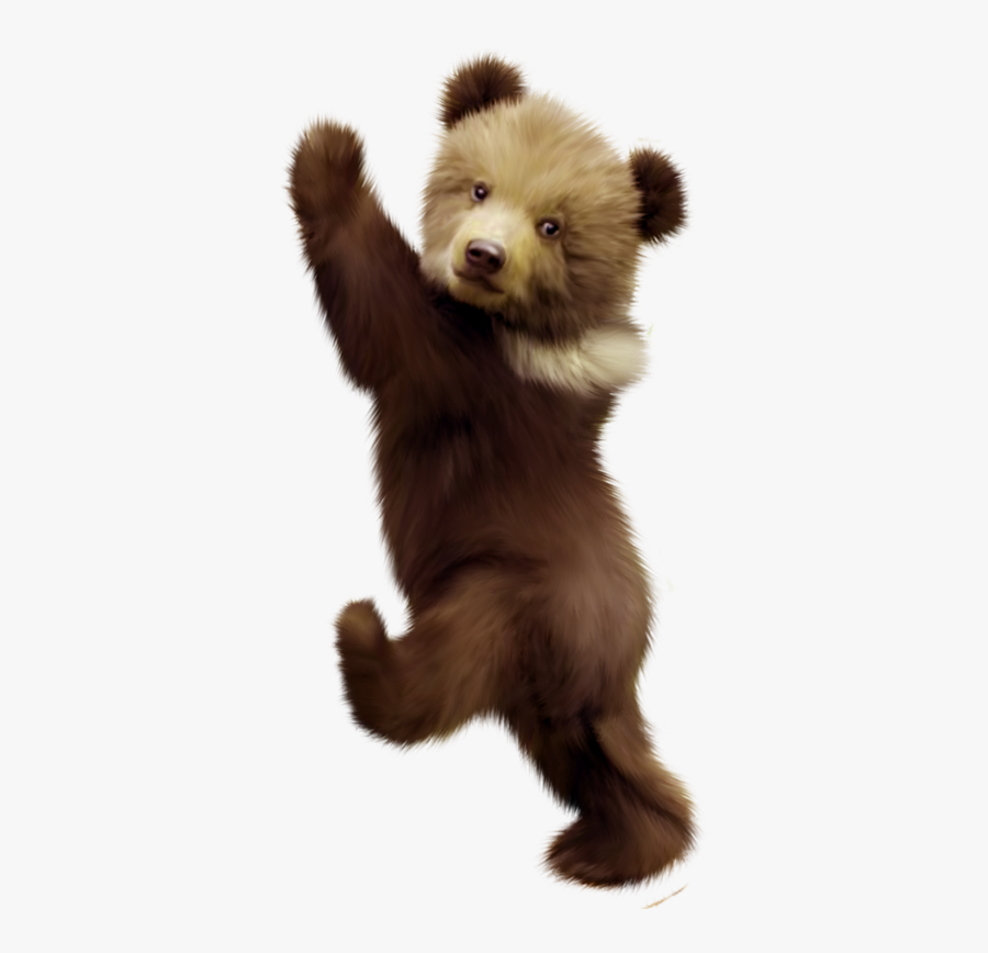Polar Bear American Black Bear Bear Cub Portable Network - Baby Bear Cub Png, Transparent Clipart