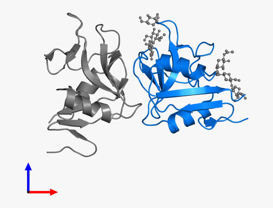 Graphic Design, Transparent Clipart