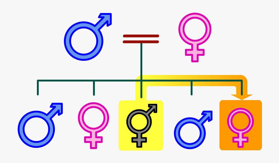 Nuclear Family, Transparent Clipart