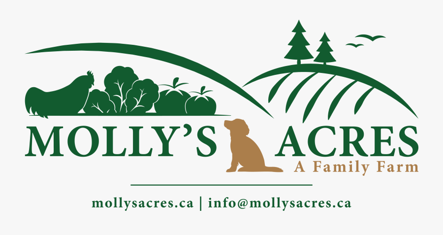 Molly"s Acres - Illustration, Transparent Clipart