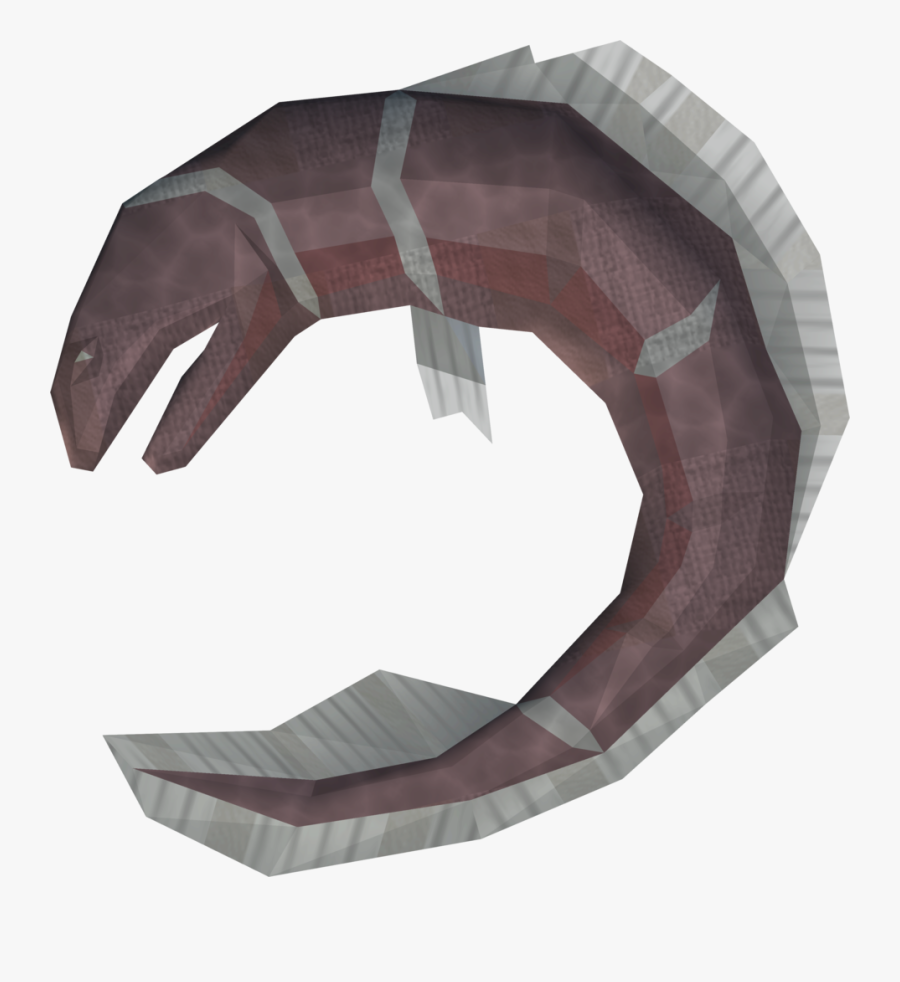 Eel Clipart Eal - 3d Modeling, Transparent Clipart